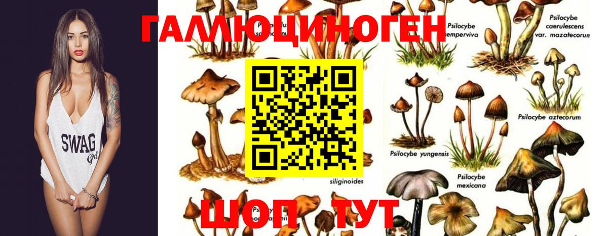 Галлюциногенные грибы мицелий Сочи