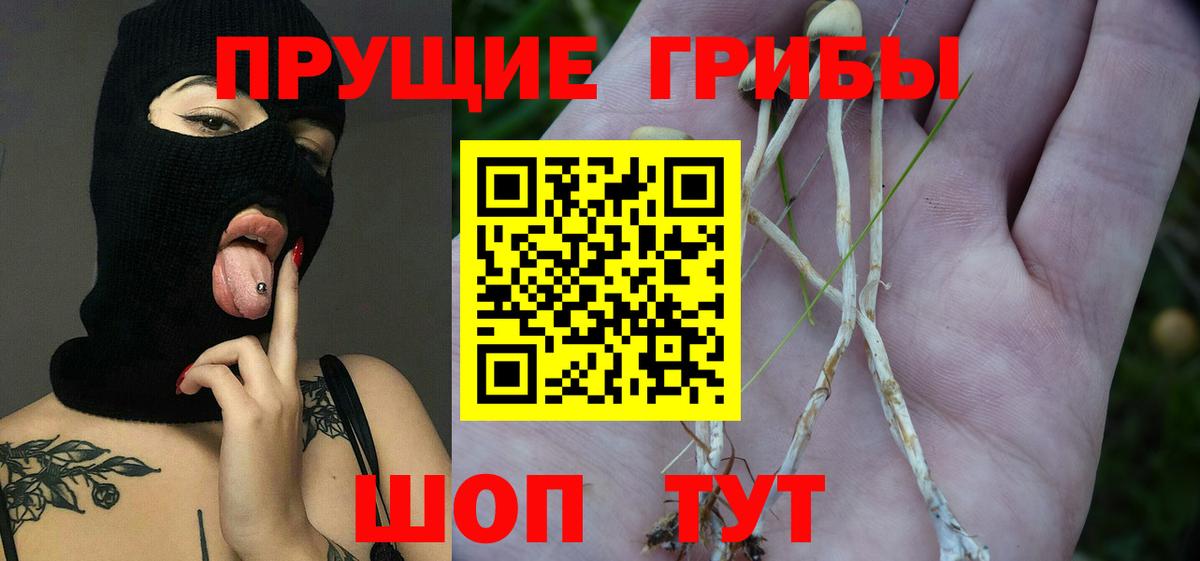 Галлюциногенные грибы мицелий  Вход с VPN  Псилоцибиновые грибы Psilocybe  Сочи 